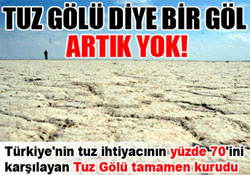 Tuz Göl'ü tamamen kurudu