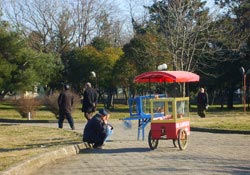 Hava sıcaklıkları artıyor