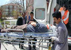 Ceviz ağacından düşünce hastanelik oldu