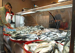 İstavrit tüketiminde patlama