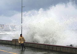 Karadeniz kabardı
