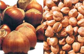 Fındıkta fiyat tartışması devam ediyor