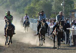 Ünye 'Rahvan At Yarışları' yapıldı