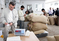 MHP'li Onur Şahin de fındığını TMO'ya verdi