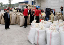 TMO fındık alımlarında son durum