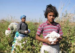 Bakan çocuğa 'yalancı' der mi?