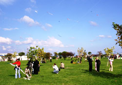 Samsun'da uçurtma şenliği