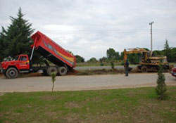 Fatsa Sanayi Sitesi ağaçlandırılıyor