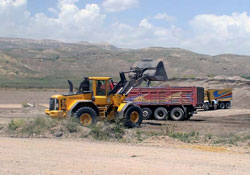 Kaçak kuma gözaltı