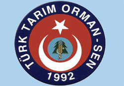 Hükümetin ek ödeme oyunu