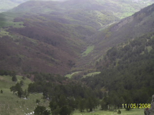 Emirahmet Korusu Kesilemez