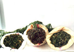 Giresun'da uyuşturucu kaçakçılığı