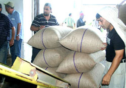 TMO 85 milyon kg fındık aldı