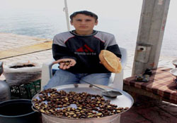 Fındıktan umduğunu kesen kestane satıyor