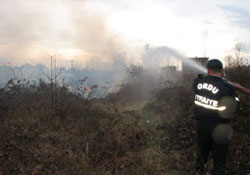 Fındık bahçesinde yangın