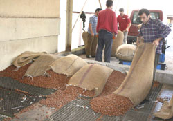 FKB 4 bin 750 ton alım yaptı