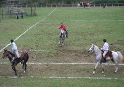 Ünye'de cirit müsabakaları