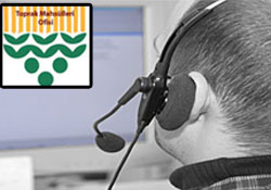 TMO'dan "Alo fındık" hattı devrede