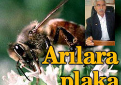 Arılara plakalama sistemi