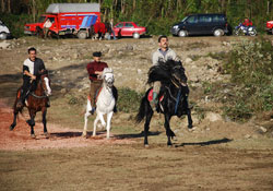 Fatsa'da rahvan at yarışları