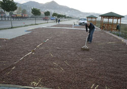 Malıyla rezil olmak buna denir!