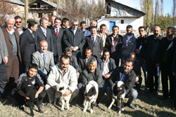 Alucra'da 2600 küçük baş hayvan dağıtıldı