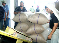 01/09/13-31/01/14 FINDIK İHRACATI