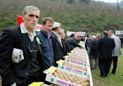 En güzel kivi seçildi