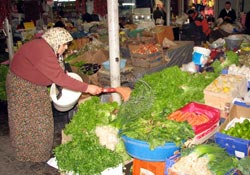 Karadeniz tarımının işçisi kadınlar