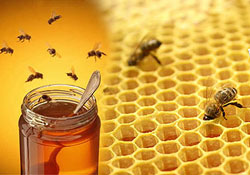 Bal petekli değil süzme satılmalıdır