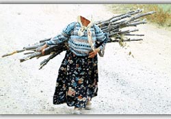 8 Mart Dünya Kadınlar günü