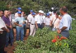 Doğu Karadeniz Tarım müdüreleri Ordu'da buluşacak