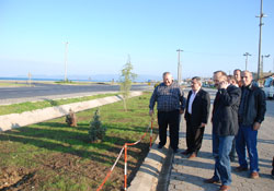 Fatsa Sanayi Sitesi çalışması devam ediyor