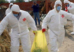 Valilikten kuş gribi uyarısı