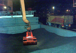 Ordu Yağ Ukrayna'dan ayçiçeği ithal ediyor