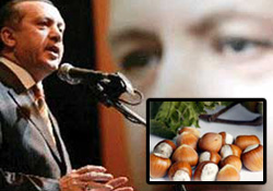 TMO çekilecek fiyatı FKB belirleyecek