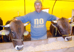 Kurbanlıkları kriz vurdu