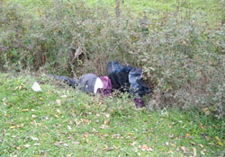 Çarşamba'da cinayet