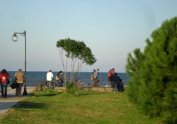 Ordu'da güneş yüzünü gösterdi