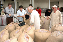 TMO fındık alımları Ocak ayında bitecek