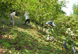 Bize söktürüp kendileri dikiyorlar