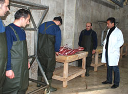 Ünye, bayrama hazır