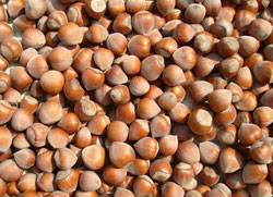 Fındığın başka alternatifi yok