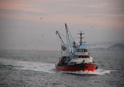 Giresunlu balıkçılar uyarıldı