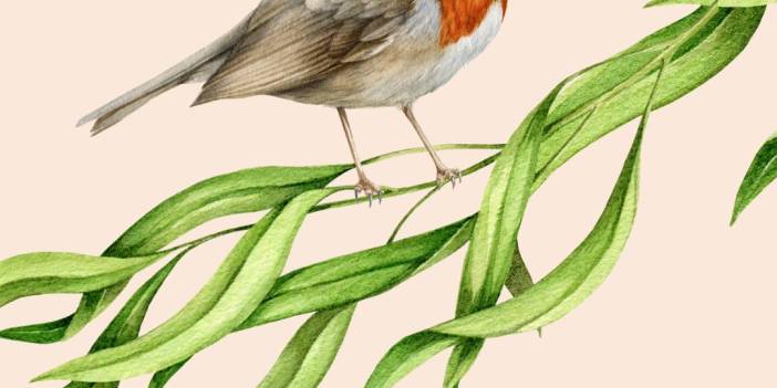 MELETTEKİ YEŞİL ALAN MÜCADELESİ DEVAM EDİYOR