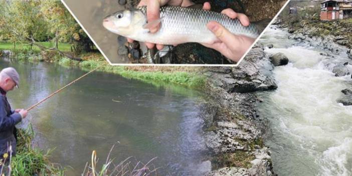 BALIK AVI YASAKLARI 1 NİSAN'DA BAŞLIYOR:  KURALLARA UYMAYANA CEZA YAĞACAK!