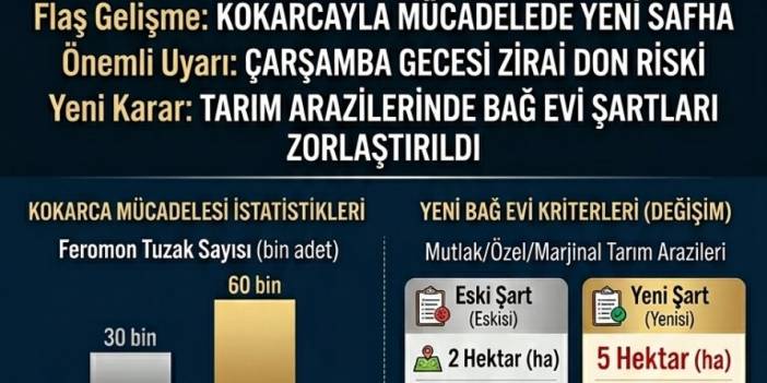 Ordu'da Kritik Tarım Zirvesi: Kokarca Mücadelesi, Don Uyarısı ve Yeni İmar Kuralları!