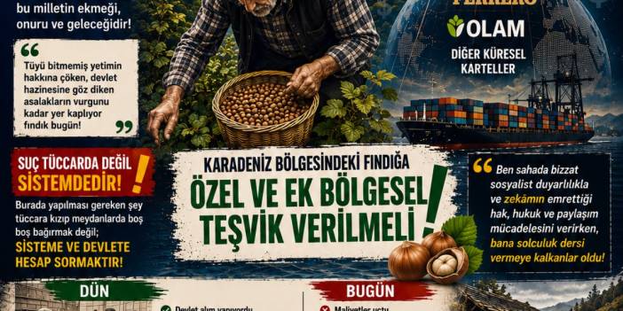 Nevzat AKATA : FINDIKTA OTUZ YILLIK KEHANET VE ACI GERÇEKLER: DEVLET NEREDE, KİMLER KARTELLERİN  KUCAĞINDA?