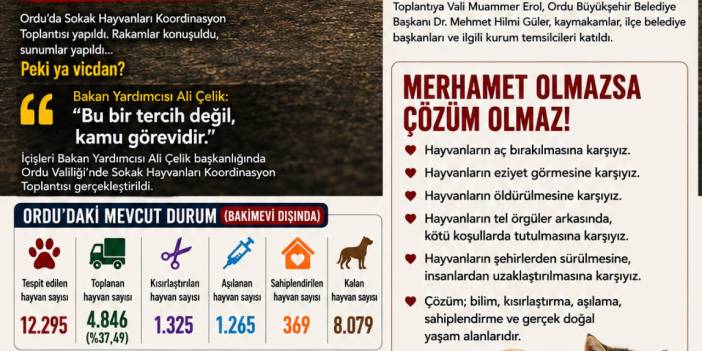 SOKAK HAYVANLARI DEĞİL, VİCDANLARIMIZ TOPLANIYOR!