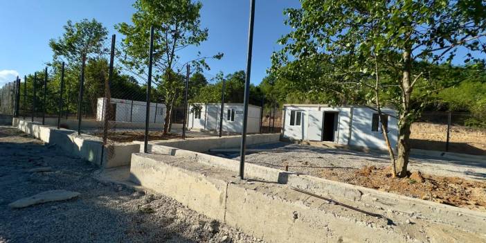 ORDU’DA 1.000 SOKAK HAYVANLIK  " MODERN HAPİSHANE"